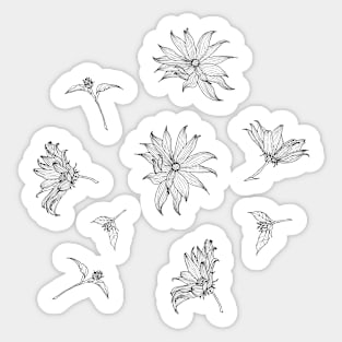 Floral line-art black and white Sticker